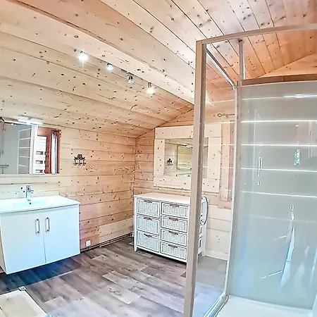 Spacieux 12 Personnes Avec Parking Aux Deux Alpes - Fr-1-811-43 木屋 莱德萨阿尔卑斯