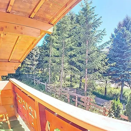 木屋 Spacieux 12 Personnes Avec Parking Aux Deux Alpes - Fr-1-811-43 *