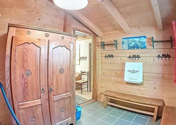 Spacieux 12 Personnes Avec Parking Aux Deux Alpes - Fr-1-811-43 Horská chata