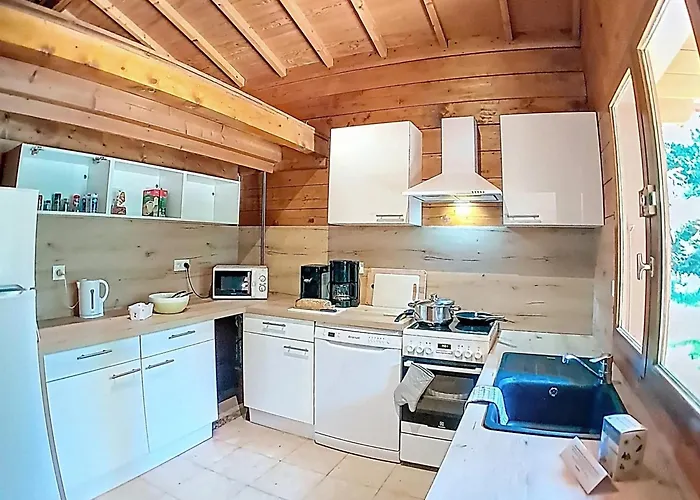 Horská chata Spacieux 12 Personnes Avec Parking Aux Deux Alpes - Fr-1-811-43